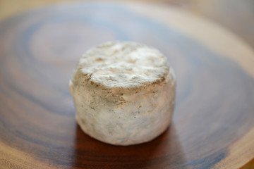 Fototapeta na wymiar 美味しいチーズ