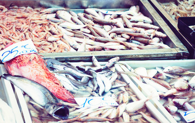 Fresh seafood and fish for sale in the fish market Pescheria of Catania, Sicily, Italy.