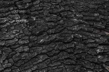  Verbrande houten textuurachtergrond. Ruw zwart houten oppervlak veroorzaakt door brandend vuur. Donker materiaal gemaakt van kolen of houtskool. © Lemonsoup14