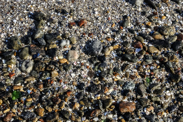 Wet stones. Multicolored pebbles. Sea shore. Abstract nature pebbles background. Sea peblles beach. Beautiful nature