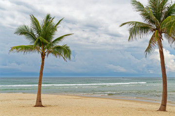 Scenic view of two palm trees on sandy beach