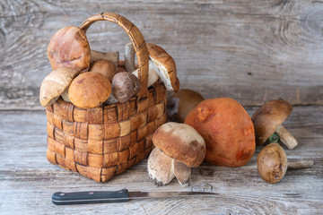 forest mushrooms in a beautiful wicker basket on a wooden background