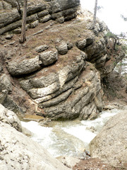 rocks in forest