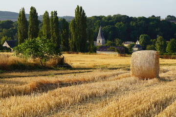 Paysage Campagne 534