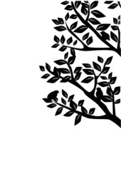 木、葉、新緑、小鳥、背景