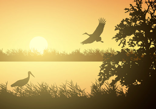 Realistic illustration of wetland landscape with river or lake, water surface and birds. Stork flying under orange morning sky with rising sun, vector