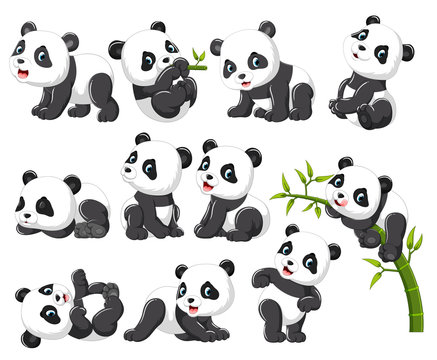 Collection of happy panda with various posing