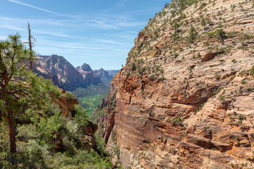 view of canyon in zion national park