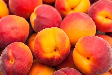 many fresh apricots top view 
