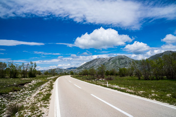 Montenegro, Curved asphalt road alongside green pastures with sheep herd animals and green mountains in rural countryside nature landscape with blue sky