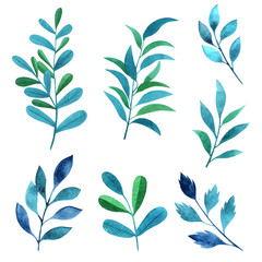 Fototapeta premium Set watercolor elements - herbs, leaf. Collection garden and wild, forest herb, branches. Illustration isolated on white background.