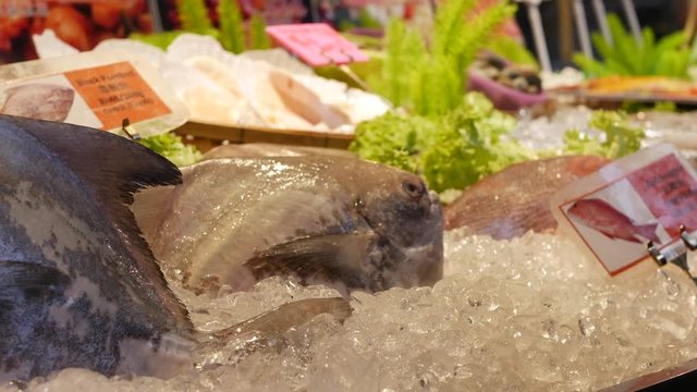 Customer choose and buy Black Pomfret fish in asian street market. Fresh in ice ready for sell. Closeup. 4k