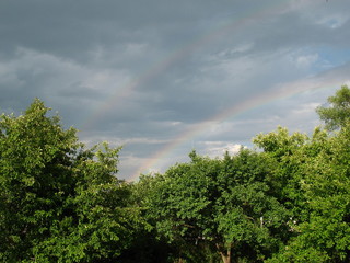 Double rainbow in a stormy sky above the crowns trees of the garden