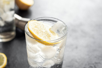 Gin Tonic Cocktail