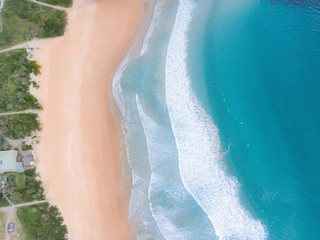 Freshwater in its beauty