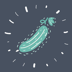 Cucumber isolated on dark background.