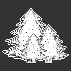 Obraz premium Evergreen pine tree. Vector concept in doodle and sketch style.