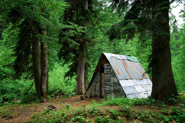 hut in the forest in the mountains