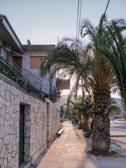 Fototapeta na wymiar Wonderful morning at seaside with palms beside marinas catwalk.