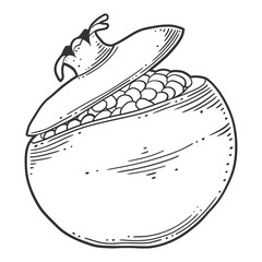 Fresh raw pomegranate. Vector concept in doodle and sketch style.