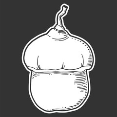 Fresh raw pumpkin. Vector concept in doodle and sketch style.