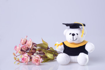 graduation greeting ilustration, white bear with space for graduation concept