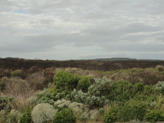Great Ocean Road, Victoria, Australia