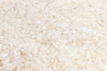 white rice detail for design background