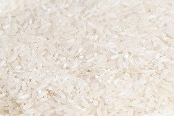 white rice detail for design background