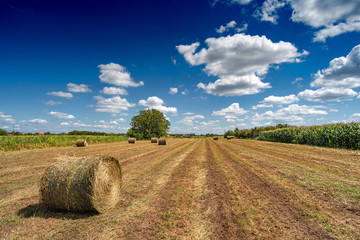 Hay bales in the field in countryside after harvest in summer	