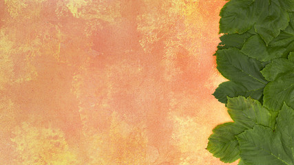 Naklejka na ściany i meble Forest green leaves on orange background