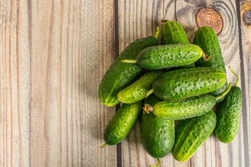 Fresh cucumbers on a wooden table. Autumn harvest thanksgiving Day.
