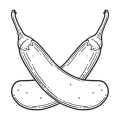 Fresh raw eggplant. Vector concept in doodle and sketch style.