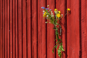Blumenstrauß dekoriert rote Holzwand. Bouquet of flowers decorating red wooden wall.