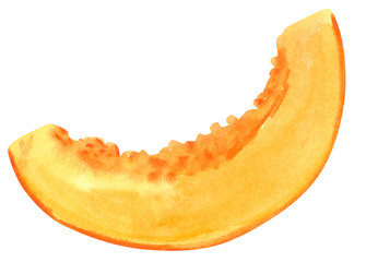 Vegetable, pumpkin squash slice, hand drawn watercolor illustration isolated on white. Halloween symbol