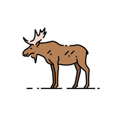 Moose line icon. Wild bull elk sign with antlers symbol. Vector illustration.