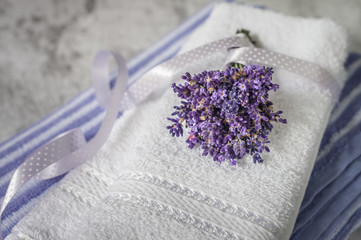 Stack of clean soft towels with a bunch of lavender  on light gray background. Spa towels against a textured wall. Minimalism, soft focus.