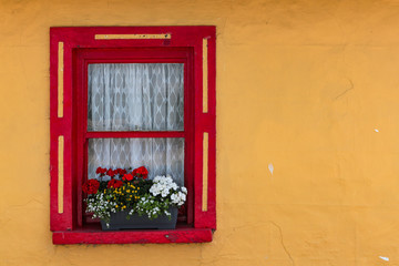Colorful window flower box on vintage Irish cottage