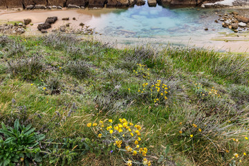 Obraz na płótnie Canvas Steep coast in northern Spain