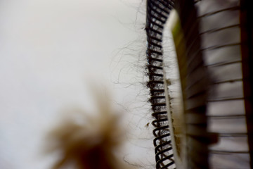 Dirty fan with dust and fur