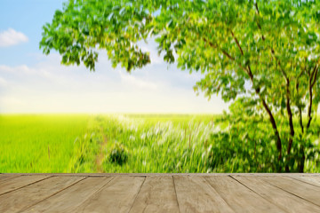 Empty top wooden table on green nature soft blurred with paddy and grass fields