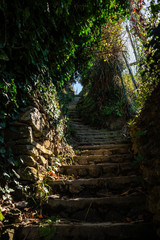 Stair Path on the hiking trail from Monterosso, Cinque Terre, Italy