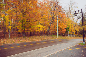 Autumn landscape has mount-tremblant