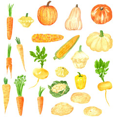 Different orange-yellow vegetables clipart set, , hand drawn watercolor illustration isolated on white. Halloween symbol