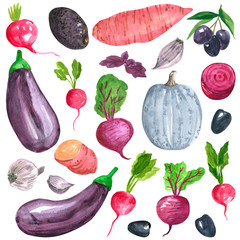 Different purple, pink, blue vegetables clipart set, sweet potato, eggplant, radish, beetroot, hand drawn watercolor illustration isolated on white. Halloween symbol