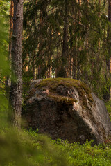 A big stone inside a Swedish forest in Gästrikland. Very calm nature and perfect place for a hike. 