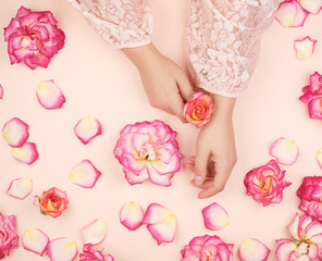 Obraz na płótnie Canvas female hands with smooth skin, white background with pink rosebuds