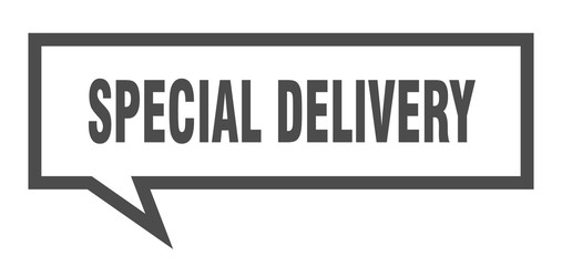 special delivery sign. special delivery square speech bubble. special delivery