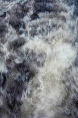 Fast moving water boat trail long exposure