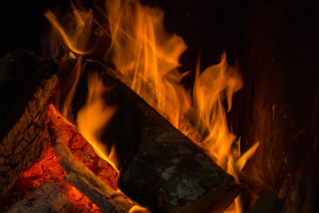 Fire and burning wood long exposure winter